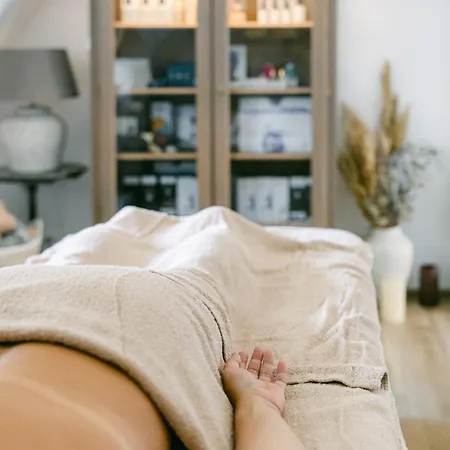 بيت ضيافة Na Kmine Obristvi