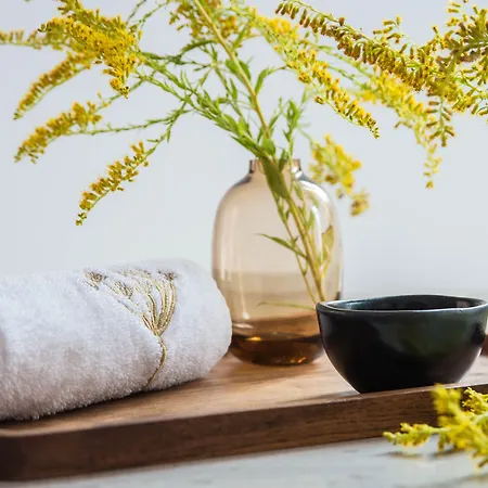 بيت ضيافة Na Kmine Obristvi